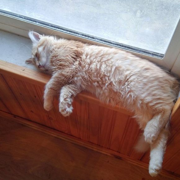 Meet your Posher, Leslie - Picture 1 of 1